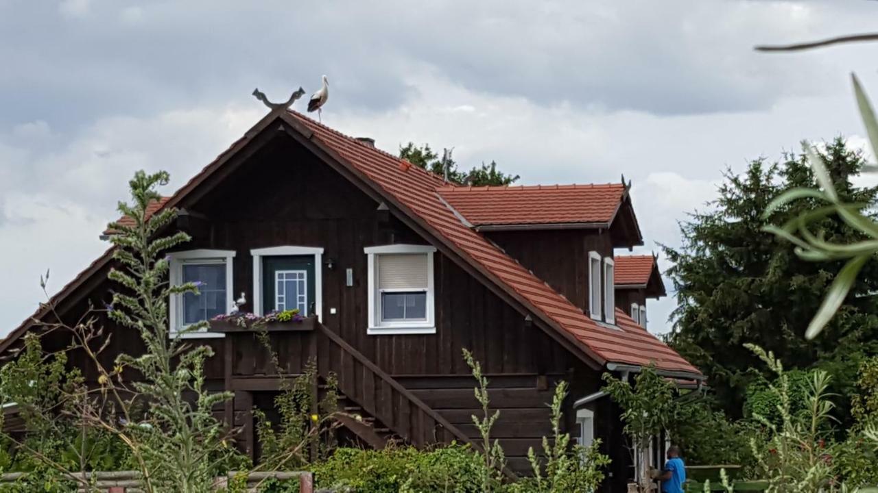 Spreewaldhaus Zum Schoberplatz Lübben Exterior foto